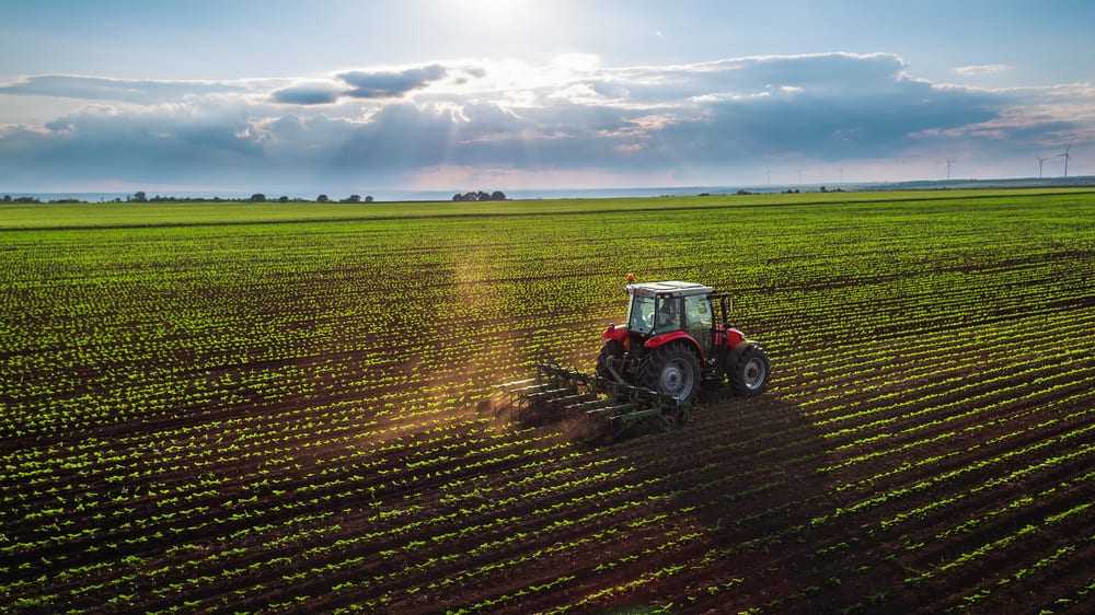 Stop the deception – there are no 12 million rice farm-holders in Nigeria